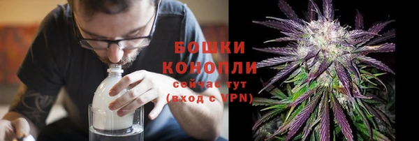 сатива Касимов