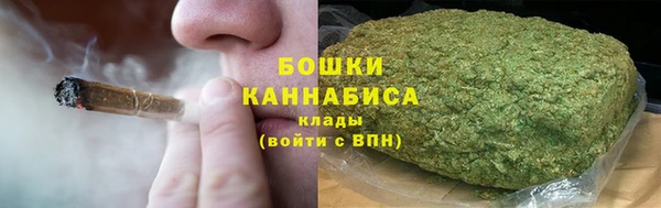 сатива Касимов