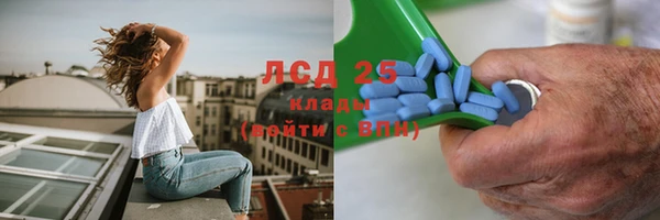 сатива Касимов