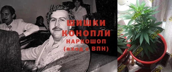 сатива Касимов