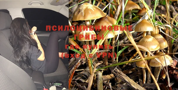 сатива Касимов