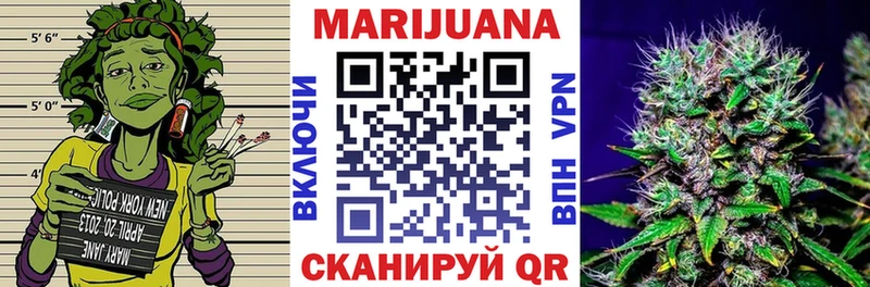 Канабис семена  Купить где  Пучеж 